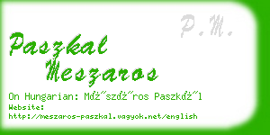 paszkal meszaros business card